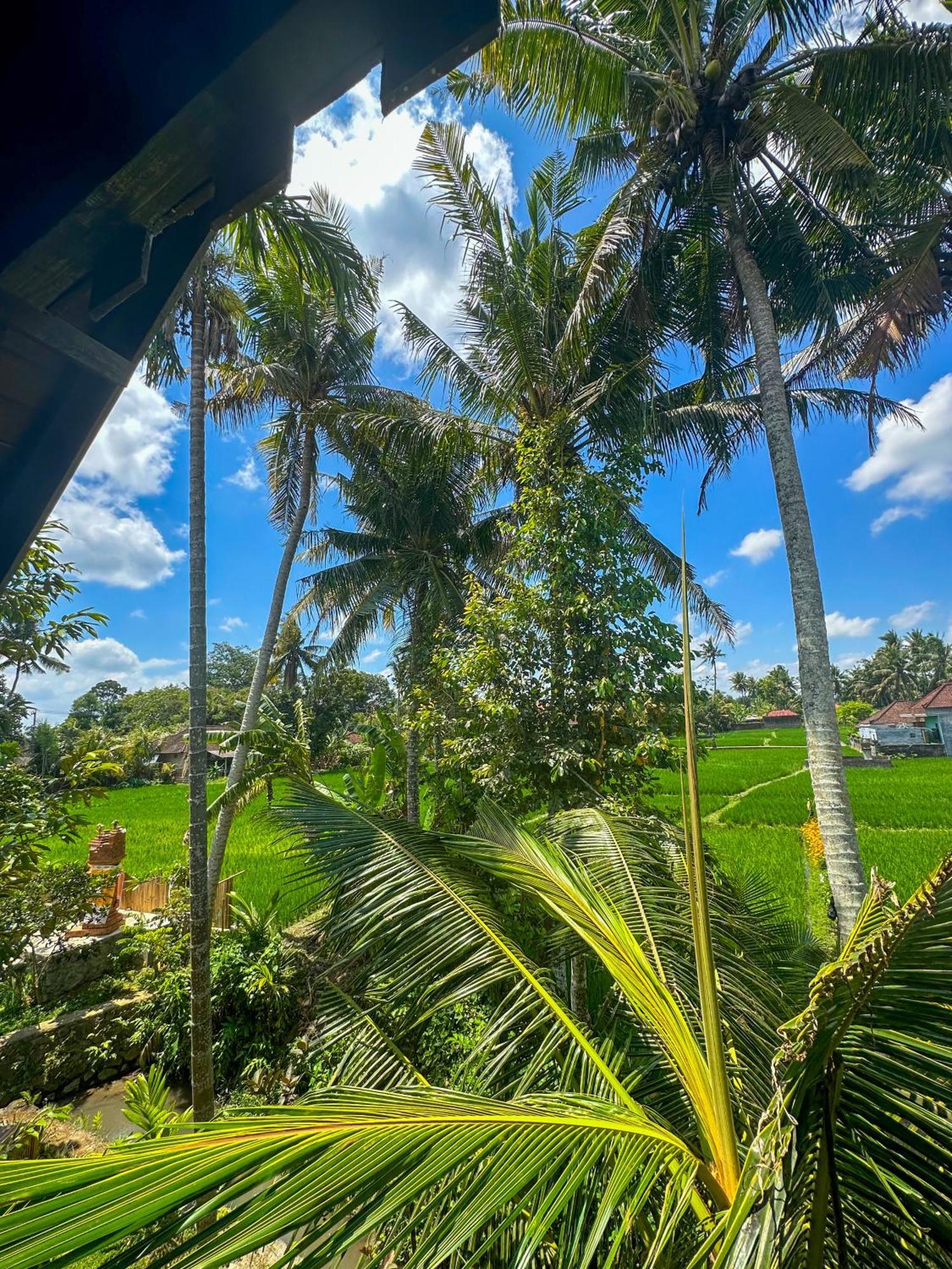Nunu Bali Eco Friendly Retreat Hotell Canggu Exteriör bild