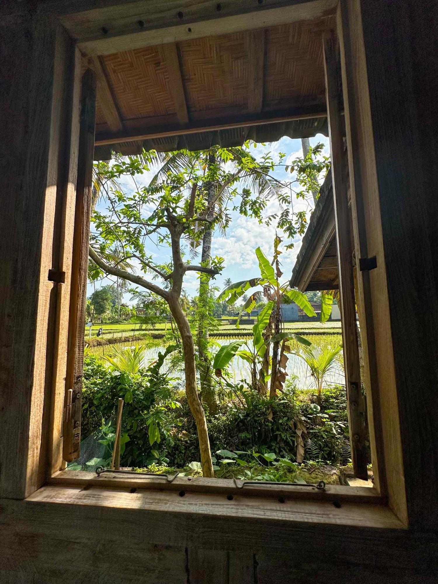 Nunu Bali Eco Friendly Retreat Hotell Canggu Exteriör bild